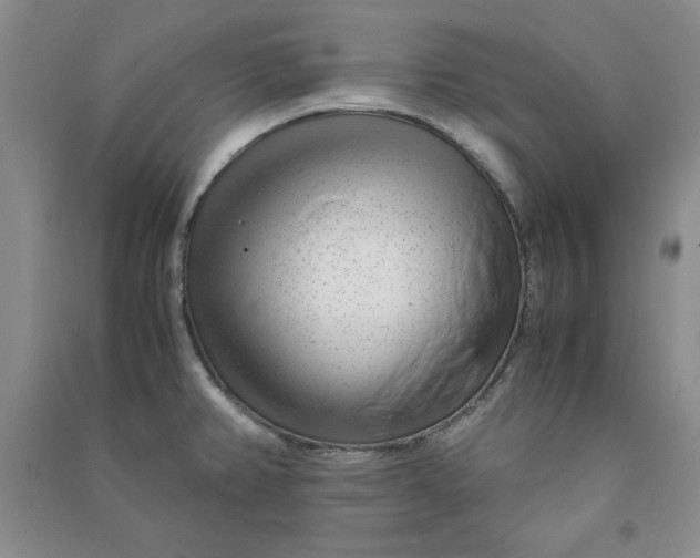 X0000090901382200708201708