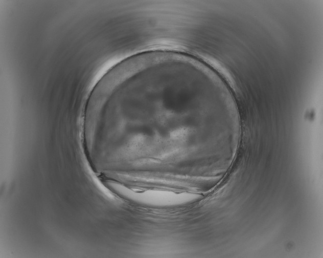 X0000090901383200708201708