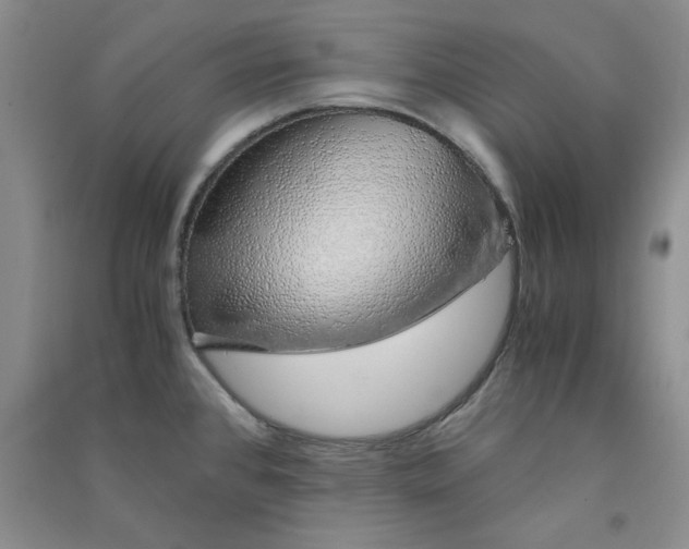 X0000090901384200708201708