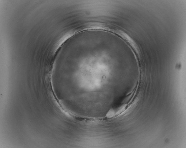 X0000090901385200708201708