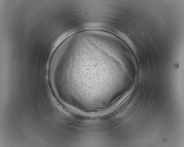 X0000090901386200708201708