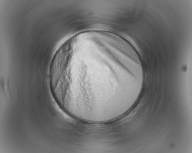 X0000090901387200708201708