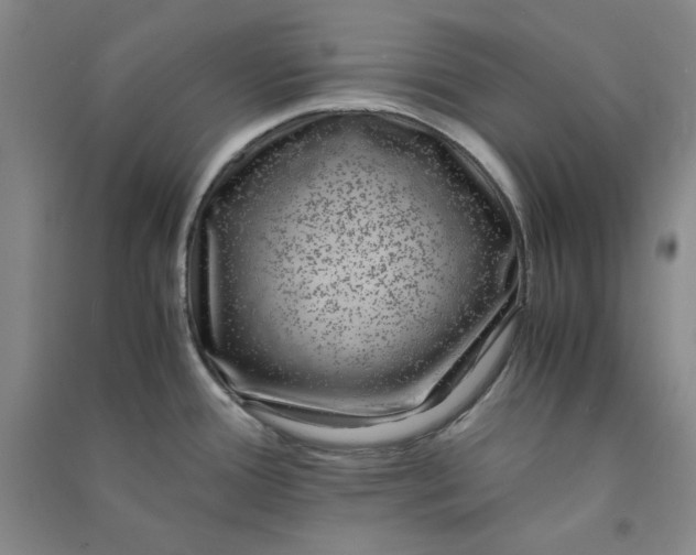 X0000090901388200708201708