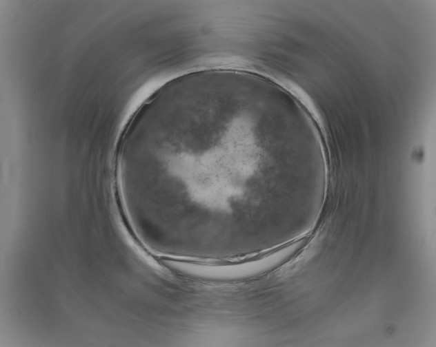 X0000090901389200708201708