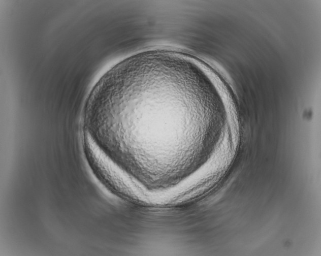 X0000090901391200708201708