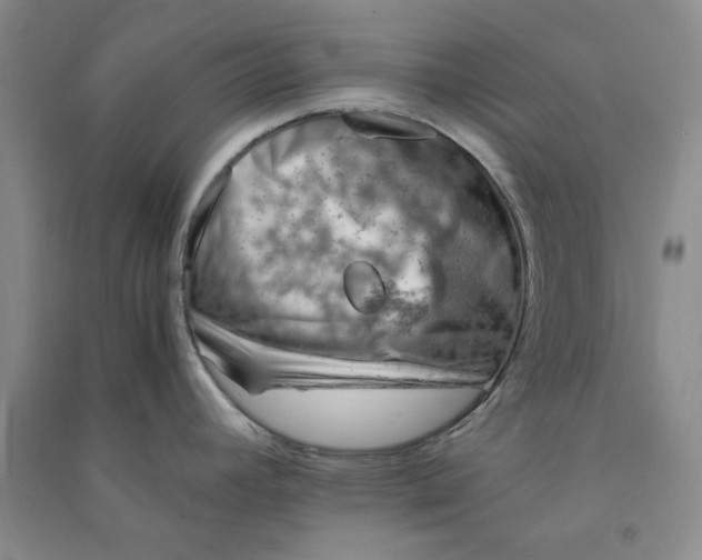 X0000090901392200708201708