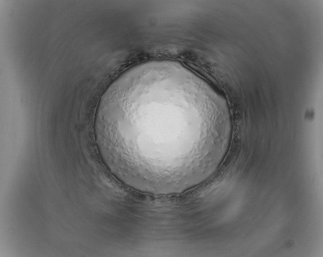 X0000090901393200708201707