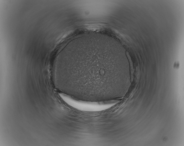 X0000090901394200708201707