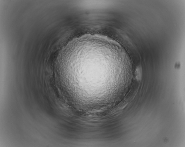 X0000090901395200708201707