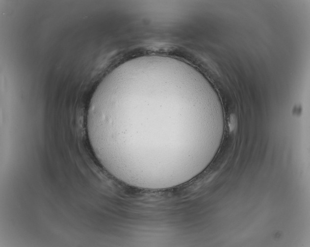 X0000090901396200708201707