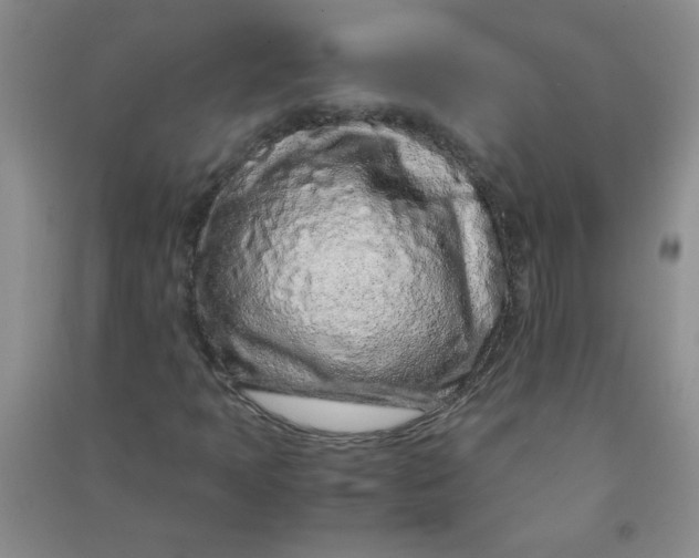 X0000090901397200708201707