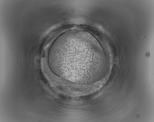 X0000090901398200708201707