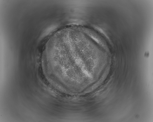 X0000090901399200708201707