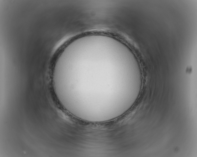 X0000090901400200708201707