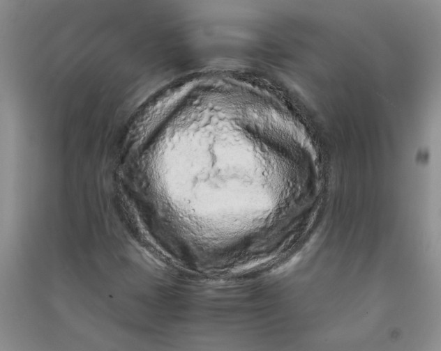 X0000090901401200708201707