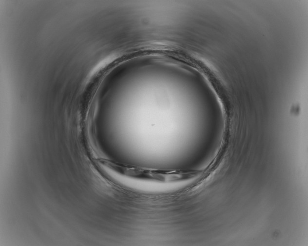 X0000090901402200708201707