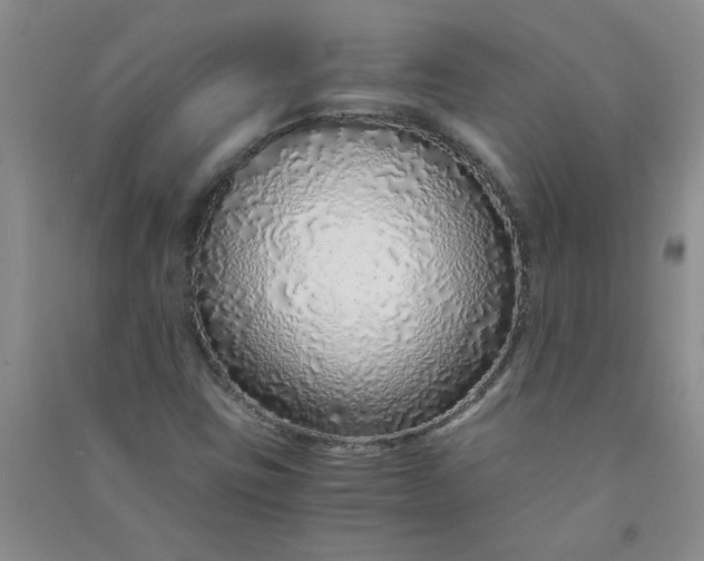 X0000090901403200708201707