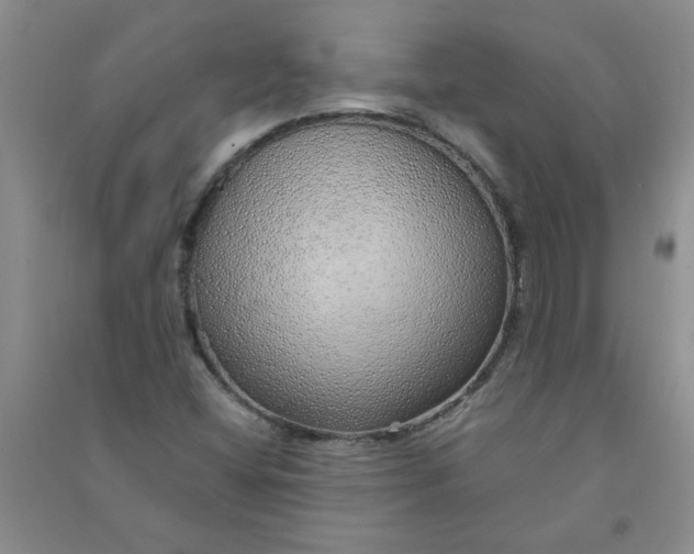 X0000090901404200708201707