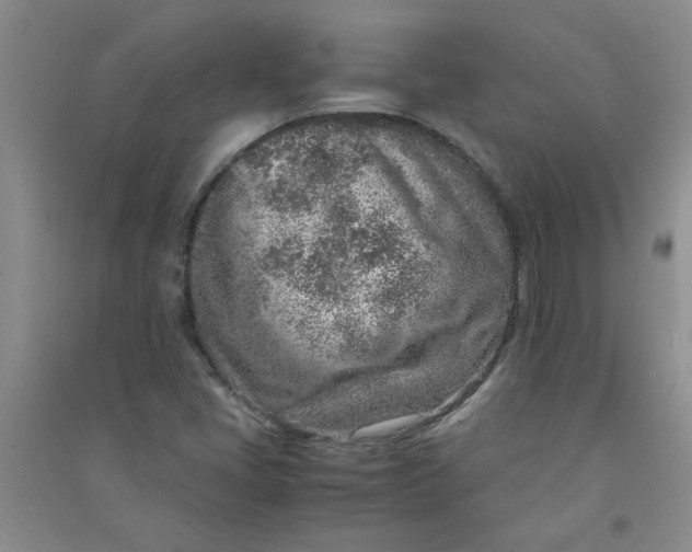 X0000090901405200708201707