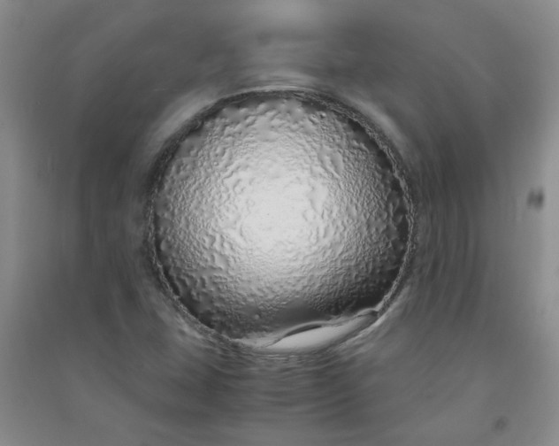 X0000090901407200708201707