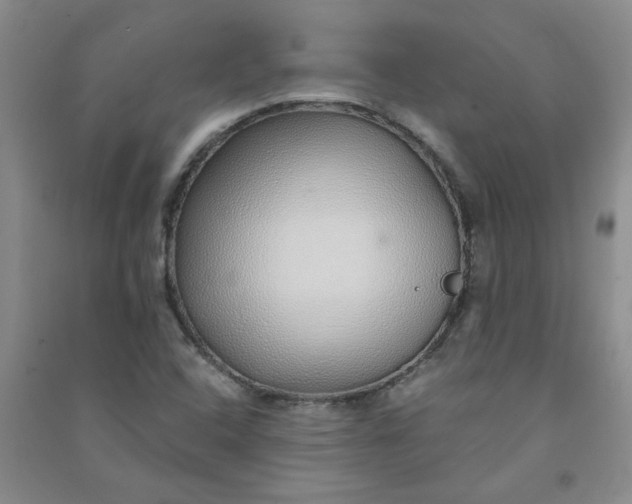 X0000090901408200708201707