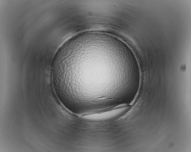 X0000090901409200708201707