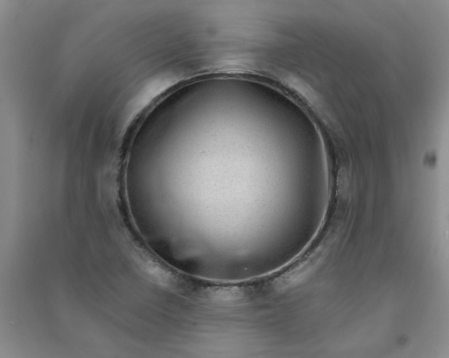 X0000090901410200708201707