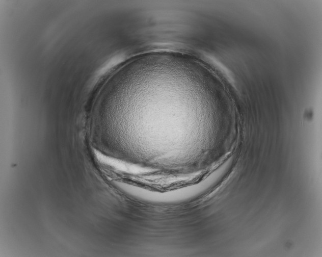 X0000090901411200708201707