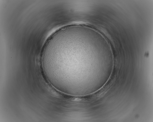 X0000090901412200708201707