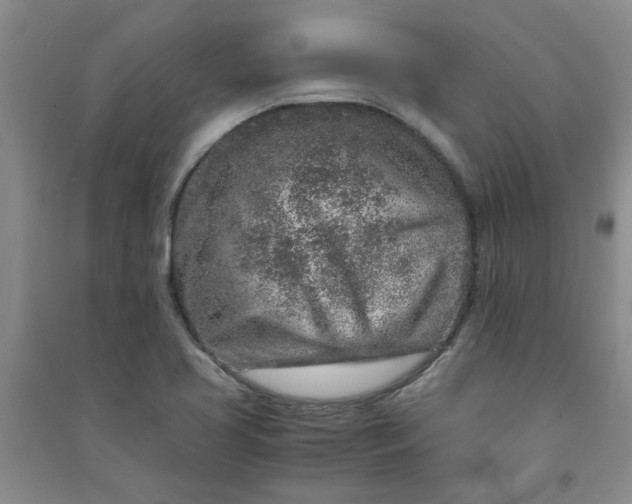 X0000090901413200708201707