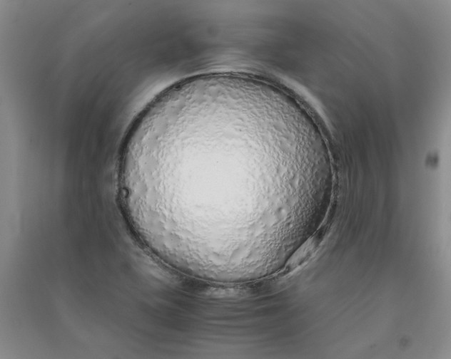 X0000090901415200708201707