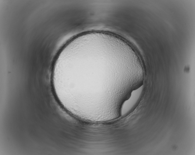 X0000090901416200708201707