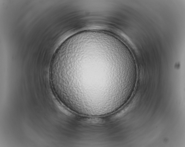 X0000090901417200708201707