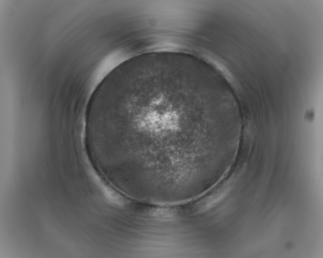 X0000090901418200708201707