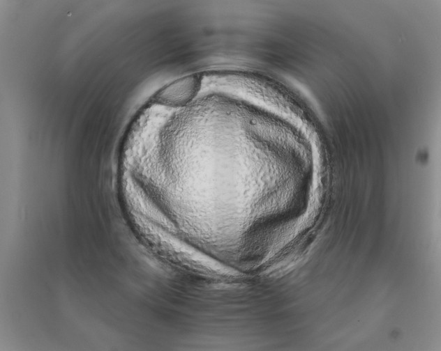 X0000090901419200708201707