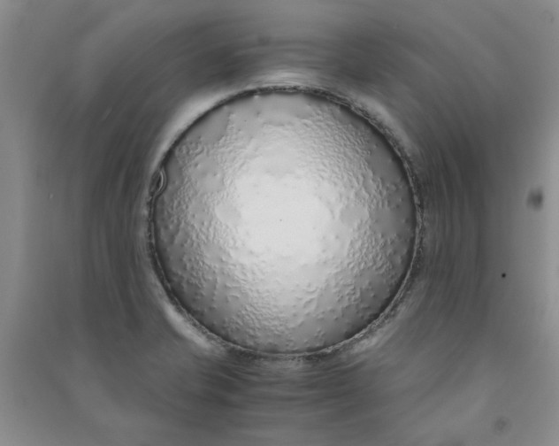 X0000090901421200708201707