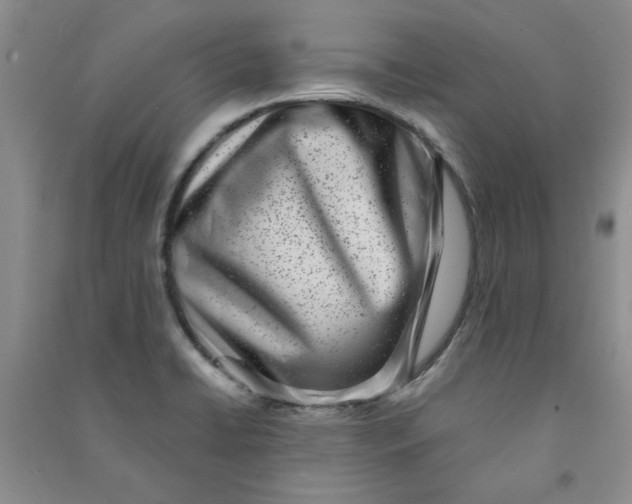 X0000090901422200708201707