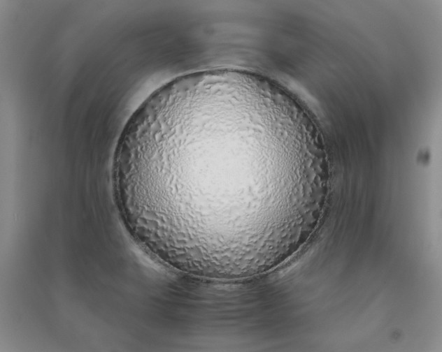 X0000090901423200708201707