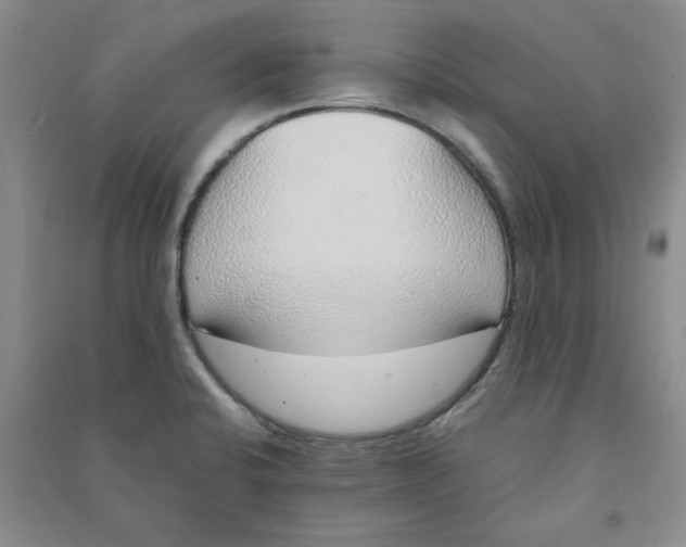 X0000090901424200708201707