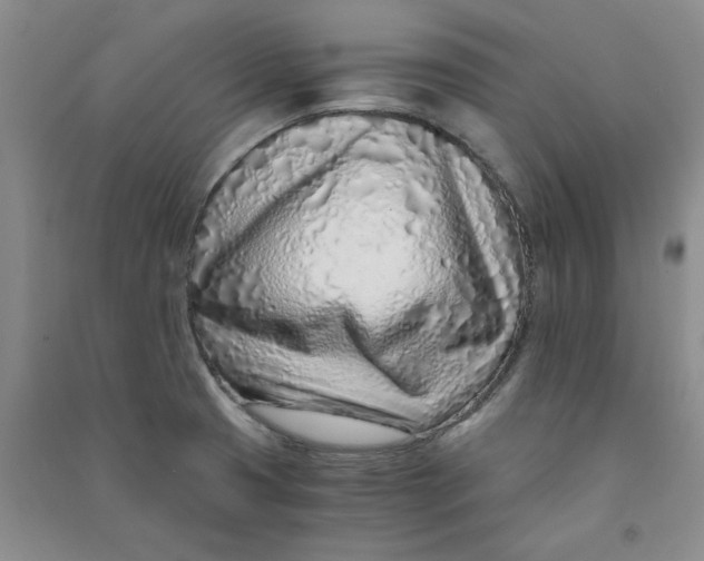 X0000090901425200708201707