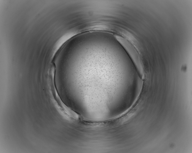 X0000090901426200708201707