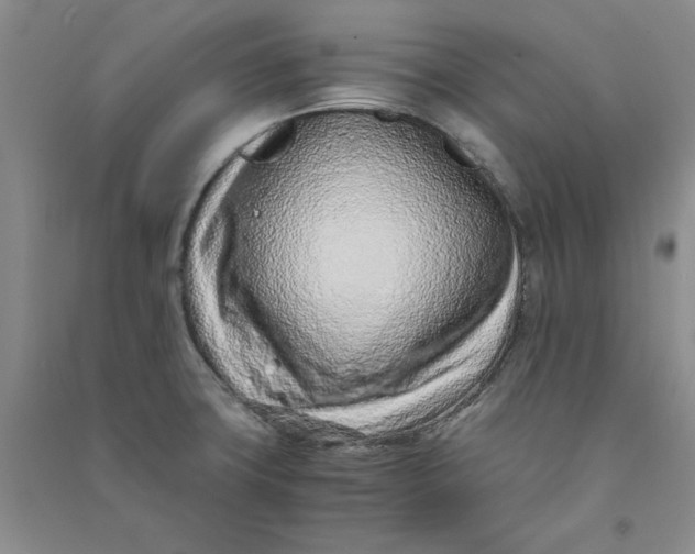 X0000090901427200708201707