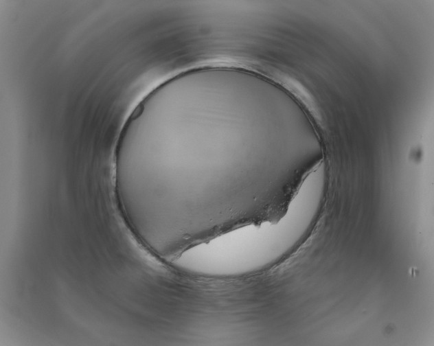 X0000090901428200708201707