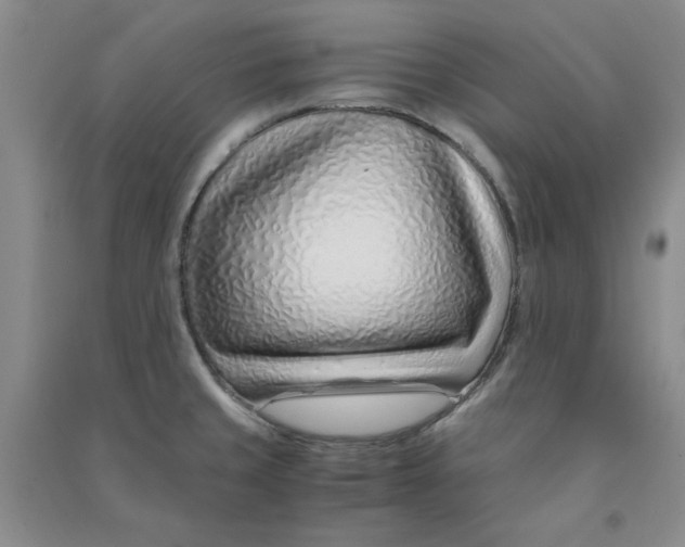 X0000090901429200708201707