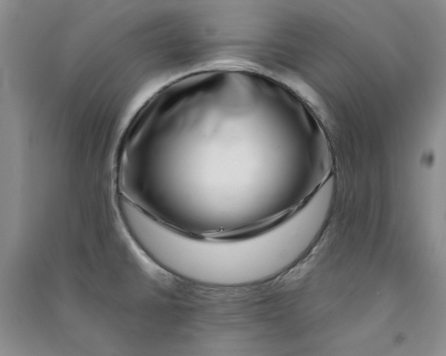 X0000090901430200708201707