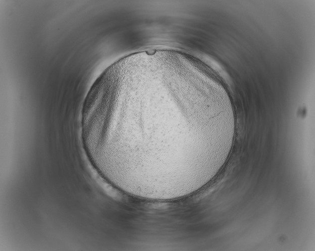 X0000090901431200708201707