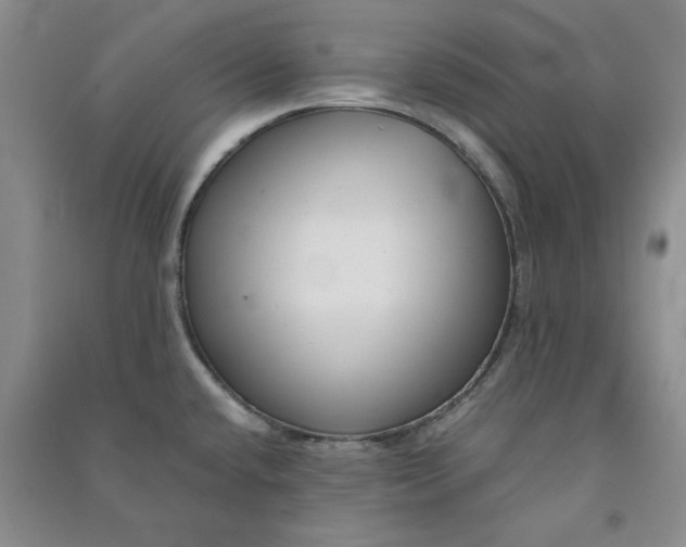 X0000090901432200708201707