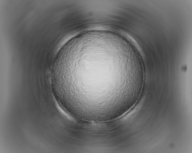 X0000090901433200708201707