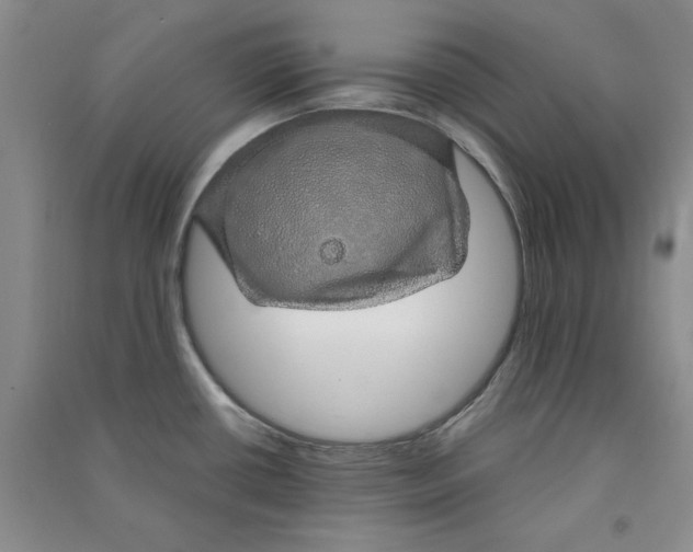 X0000090901434200708201708