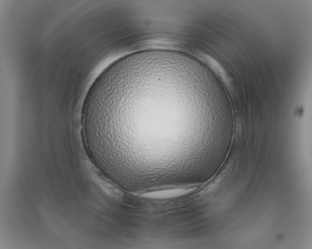 X0000090901435200708201708